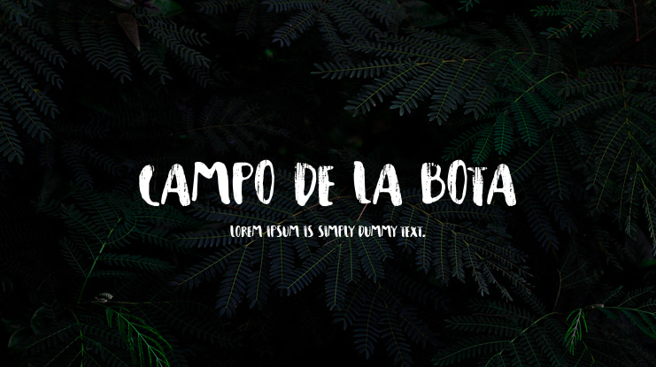 Campo de la Bota Font