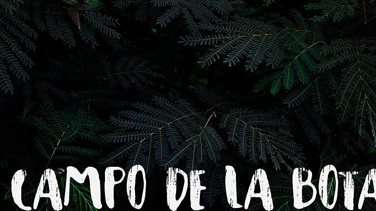 Campo de la Bota Font