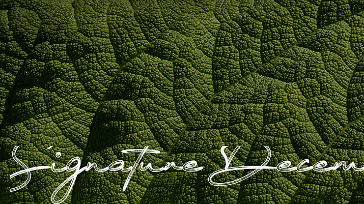 Signature December Font