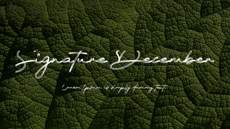 Signature December Font