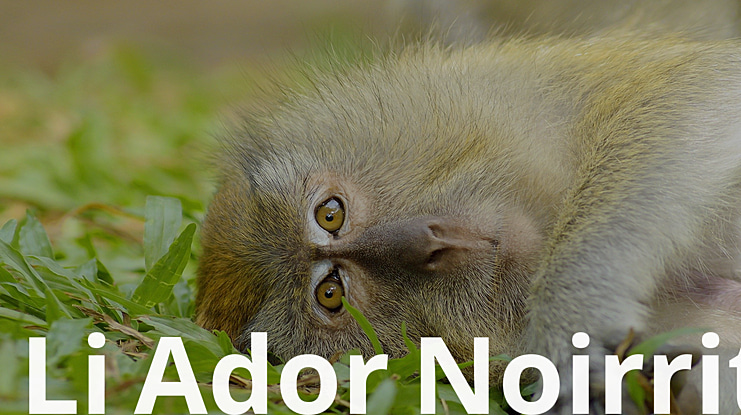 Li Ador Noirrit Font