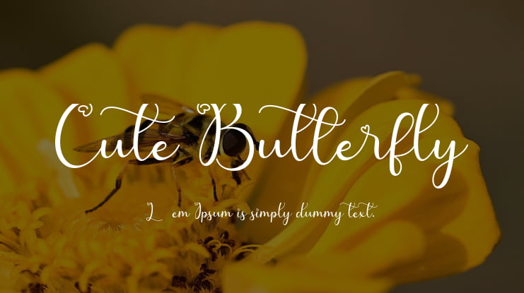 Cute Butterfly Font
