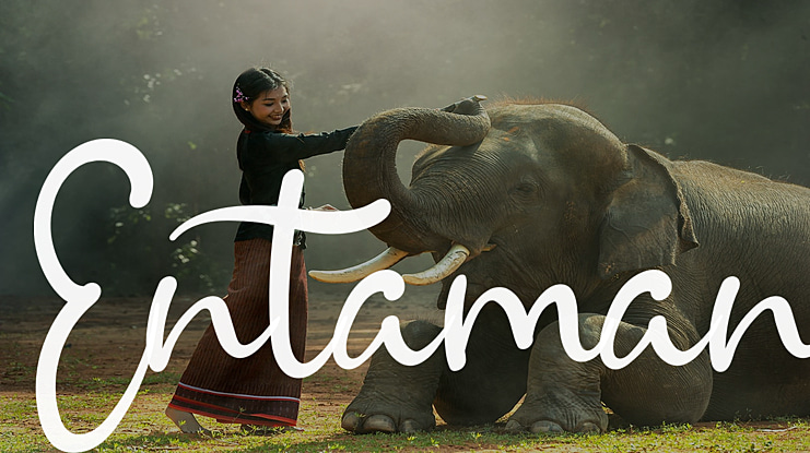 Entaman Font