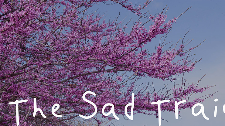 The Sad Train Font