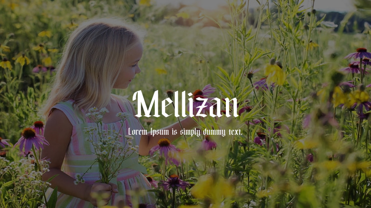 Mellizan Font