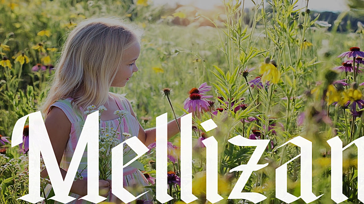 Mellizan Font