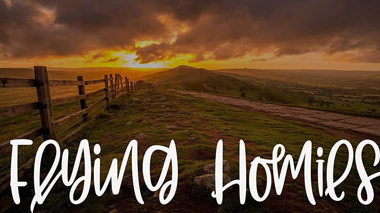 Flying Homies Font Family