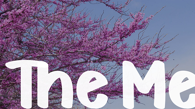 The Me Font