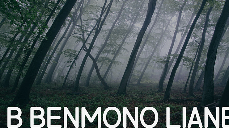 b Benmono Liane Font