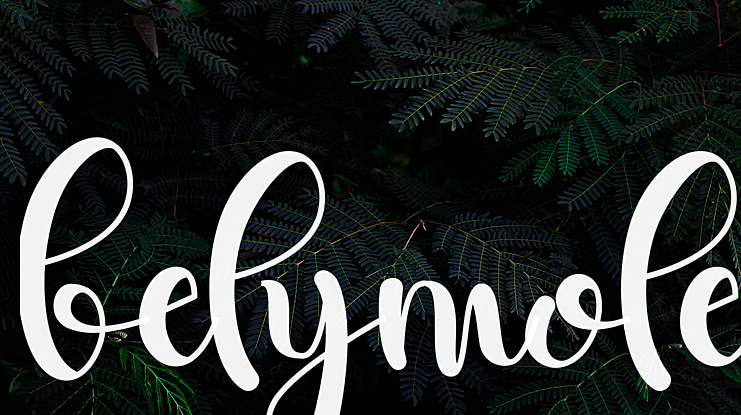 belymole Font