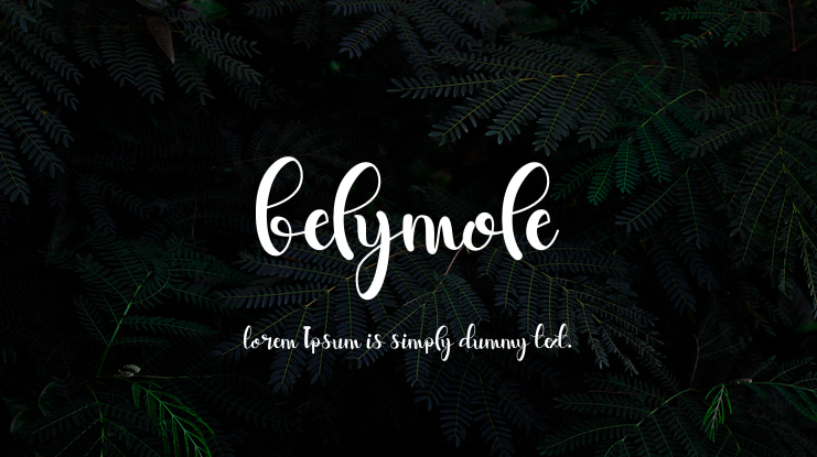 belymole Font