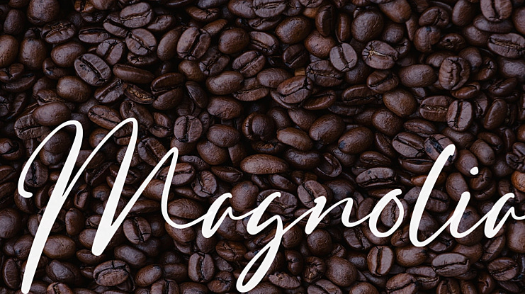 Magnolia Font