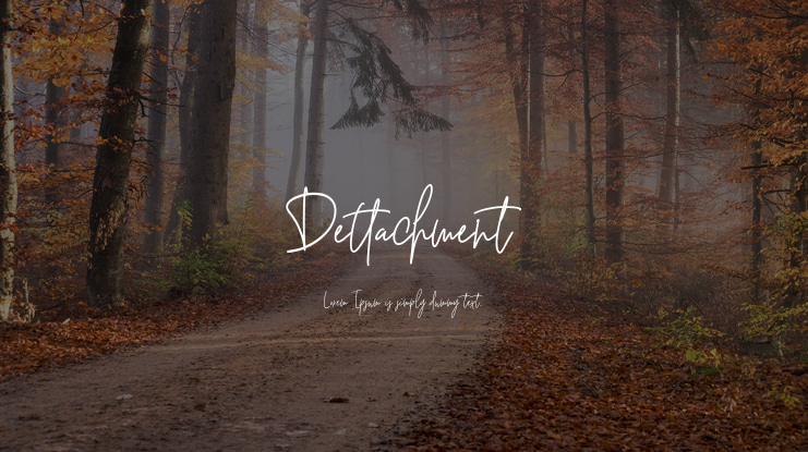 Dettachment Font
