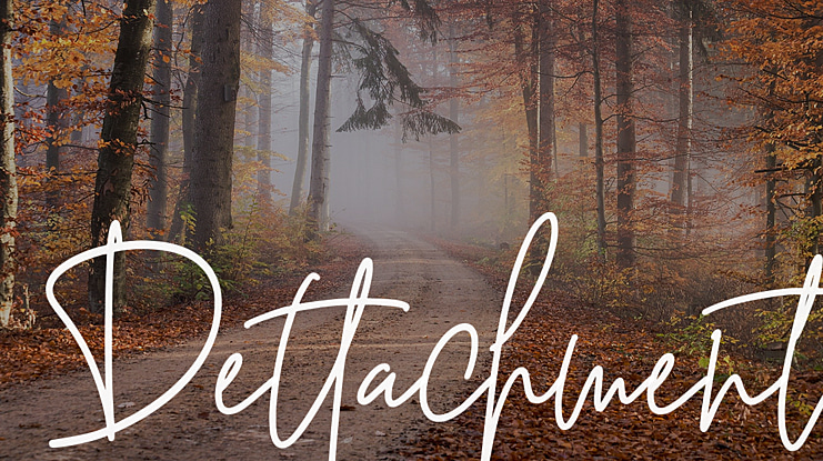 Dettachment Font