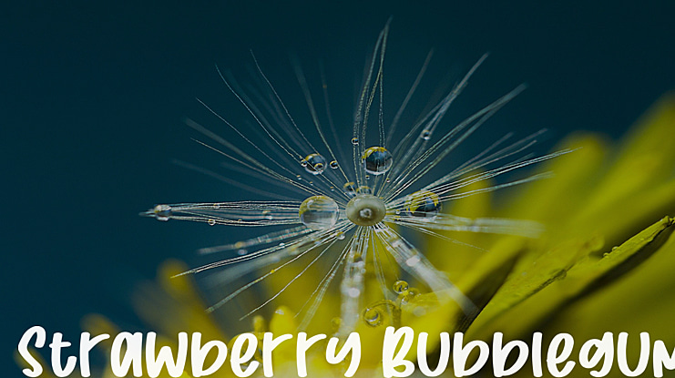 Strawberry Bubblegum Font Family