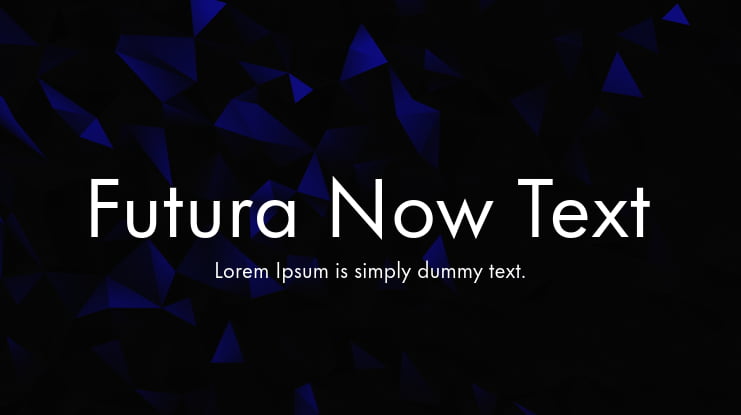 Futura Now Text Font Family