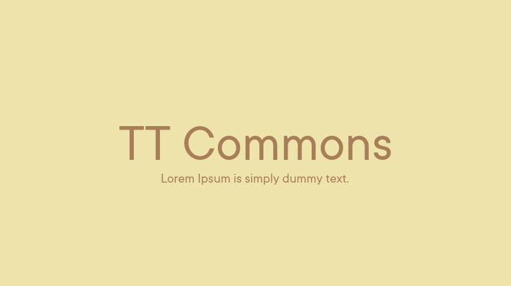 TT Commons Font Family