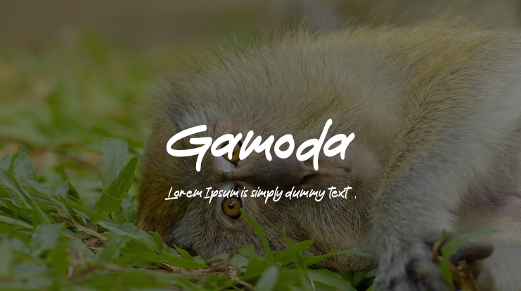 Gamoda Font