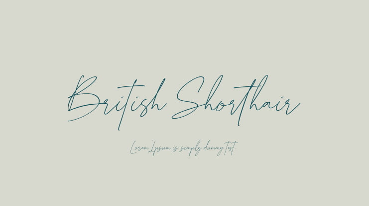 British Shorthair Font