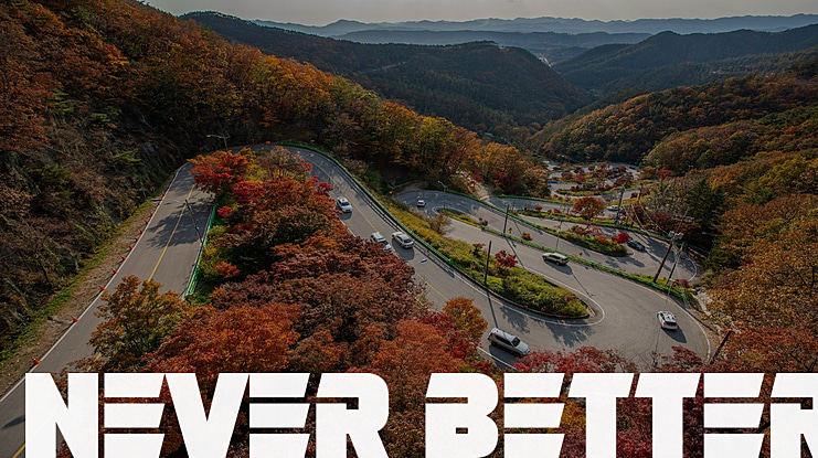 Never Better Font Family