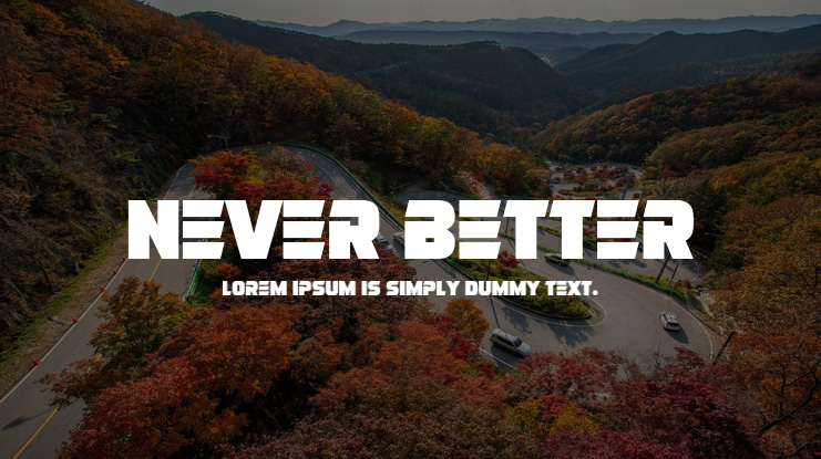 Never Better Font Family
