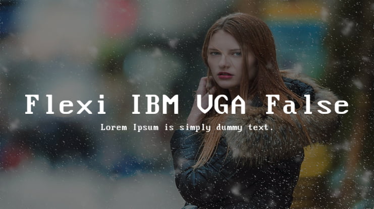 Flexi IBM VGA False Font Family