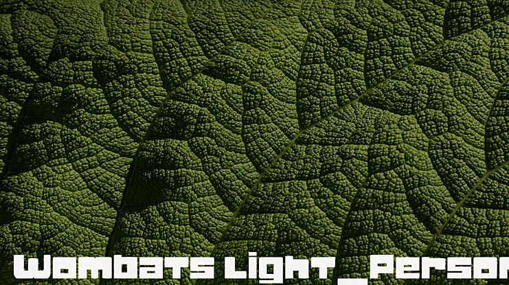 Wombats light_PersonalUseOnly Font Family