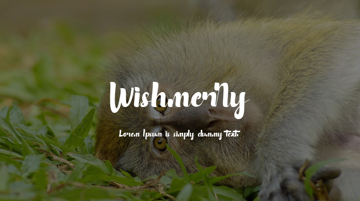 Wishmerry Font