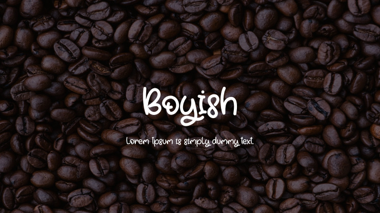 Boyish Font