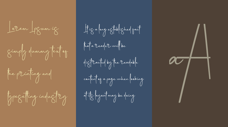 Photography Signature Font