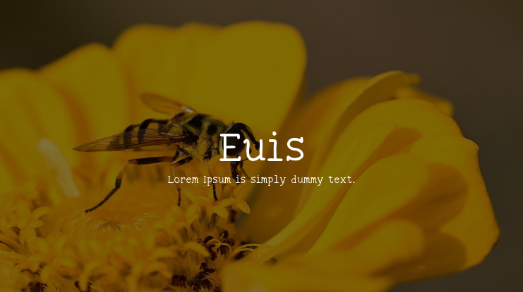 Euis Font