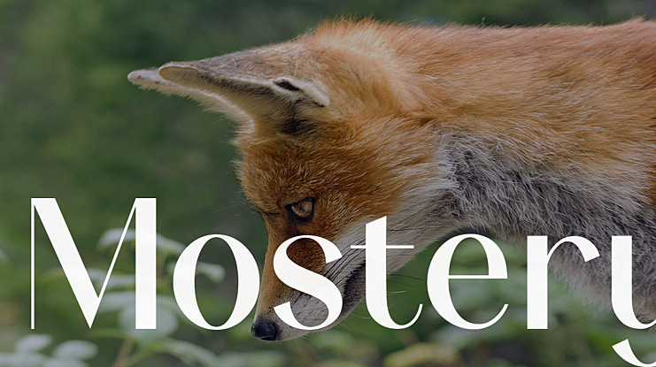 Mostery Font
