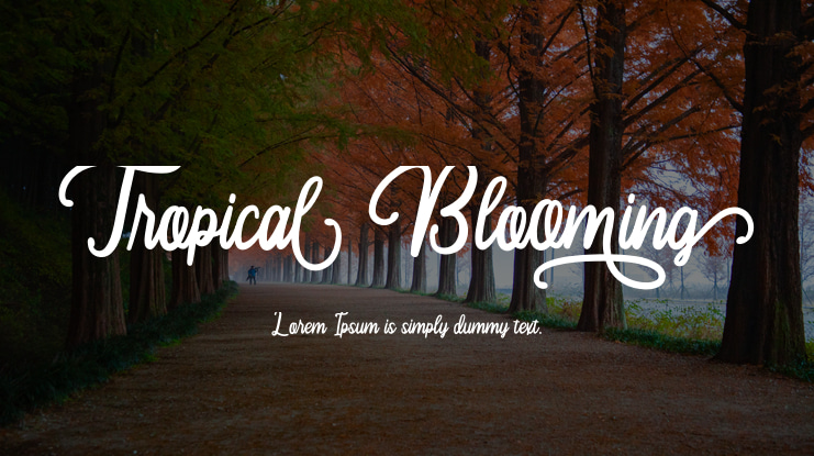 Tropical Blooming Font