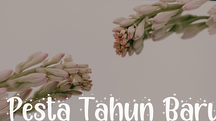 Pesta Tahun Baru Font