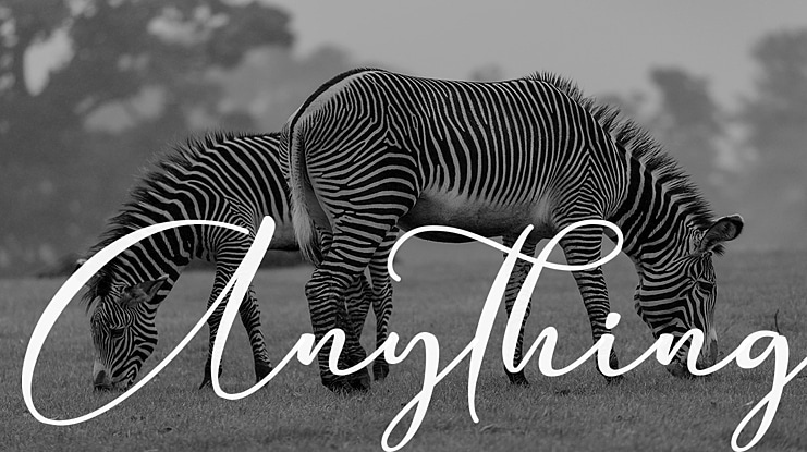 Anything Font
