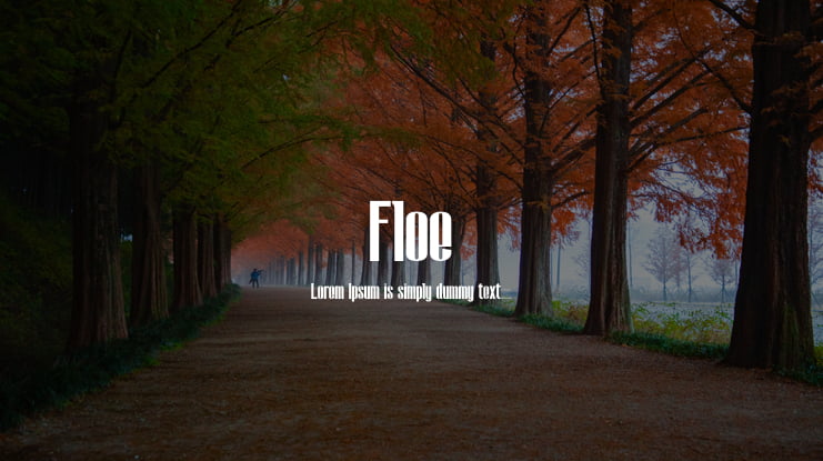 Floe Font
