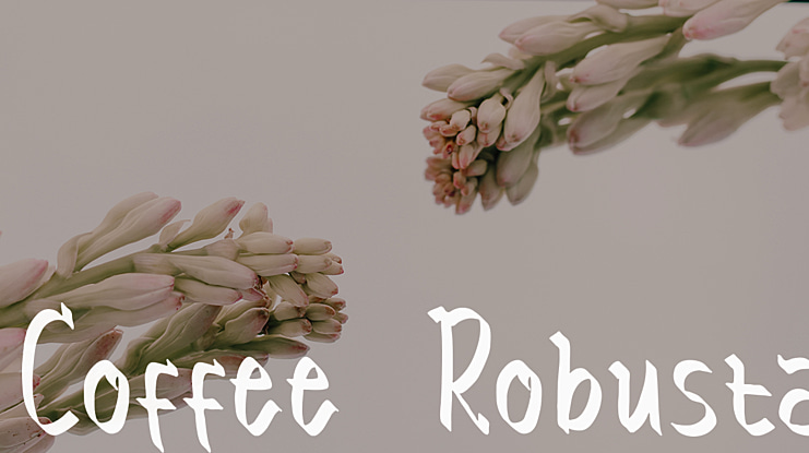 Coffee Robusta Font