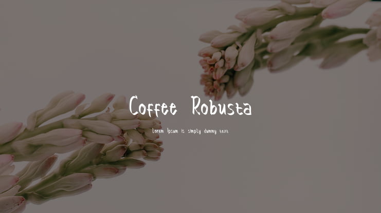 Coffee Robusta Font