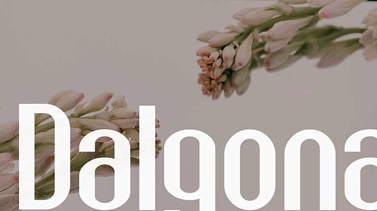 Dalgona Font