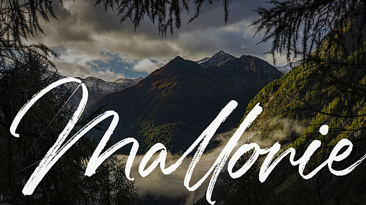 Mallorie Font