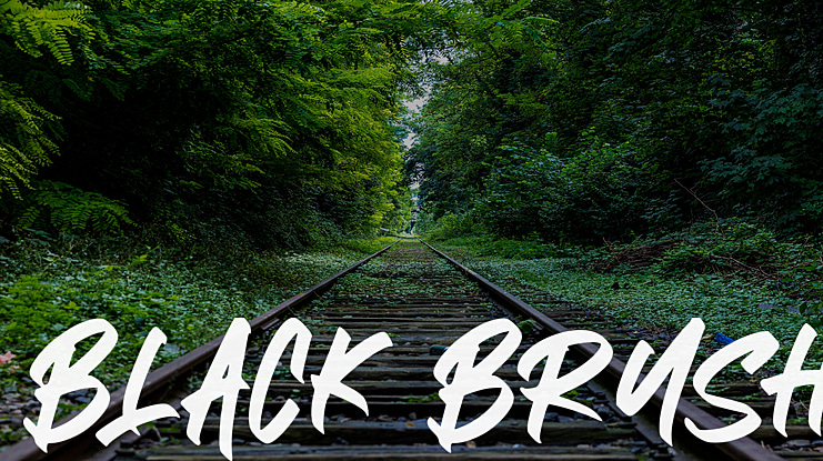 BLACK BRUSH Font