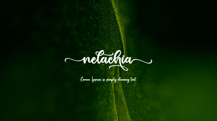 nelachia Font