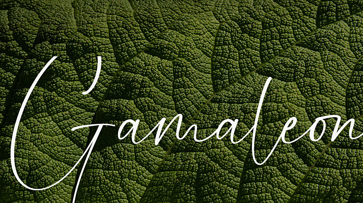 Gamaleon Font