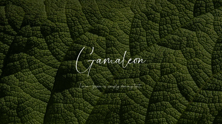 Gamaleon Font
