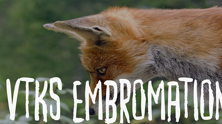 vtks embromation Font