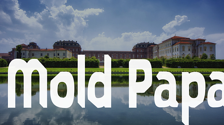 Mold Papa Font