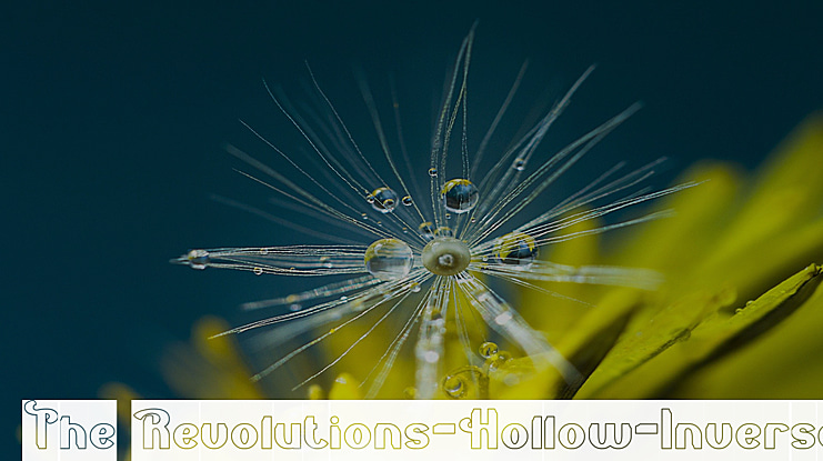 The Revolutions-Hollow-Inverse Font Family