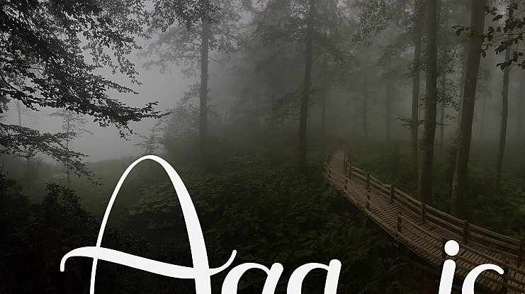 Agathis Font