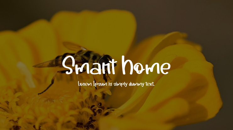 Smart Home Font