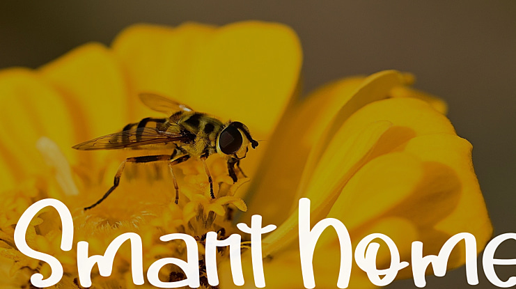 Smart Home Font